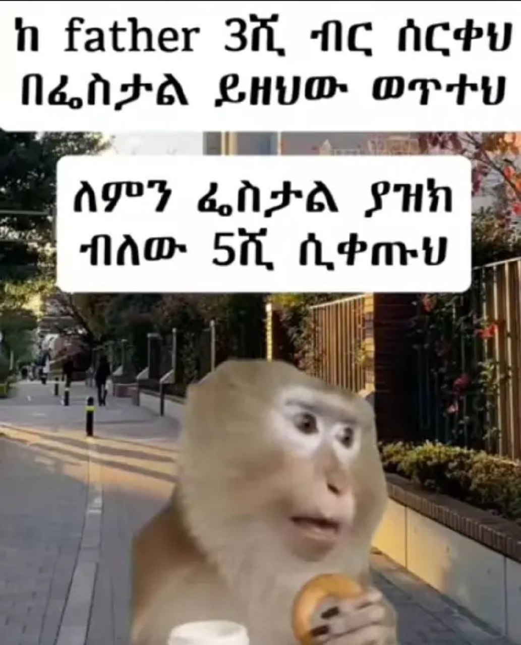 ከ የ2፻ከ6፲ ግር. ብር ሰርቆህ ።ፐ ለምን ፌስታል ያዝክ | ባ ብለው 5ሺ ቢቀቡህ 1 in father a 1G AGee at. ages doa pun = : flaw itt hrave Fi